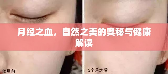 月經(jīng)之血，自然之美的奧秘與健康解讀