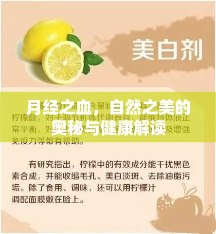月經(jīng)之血，自然之美的奧秘與健康解讀