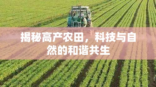 揭秘高產(chǎn)農(nóng)田，科技與自然的和諧共生