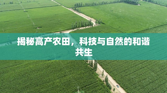 揭秘高產(chǎn)農(nóng)田，科技與自然的和諧共生
