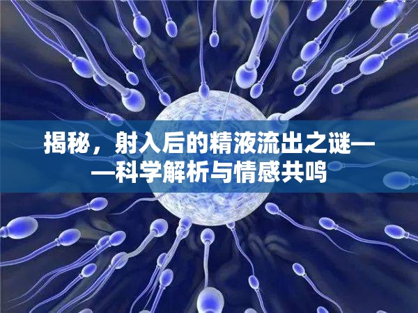 揭秘，射入后的精液流出之謎——科學(xué)解析與情感共鳴