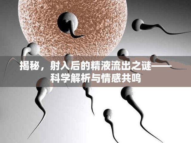 揭秘，射入后的精液流出之謎——科學(xué)解析與情感共鳴