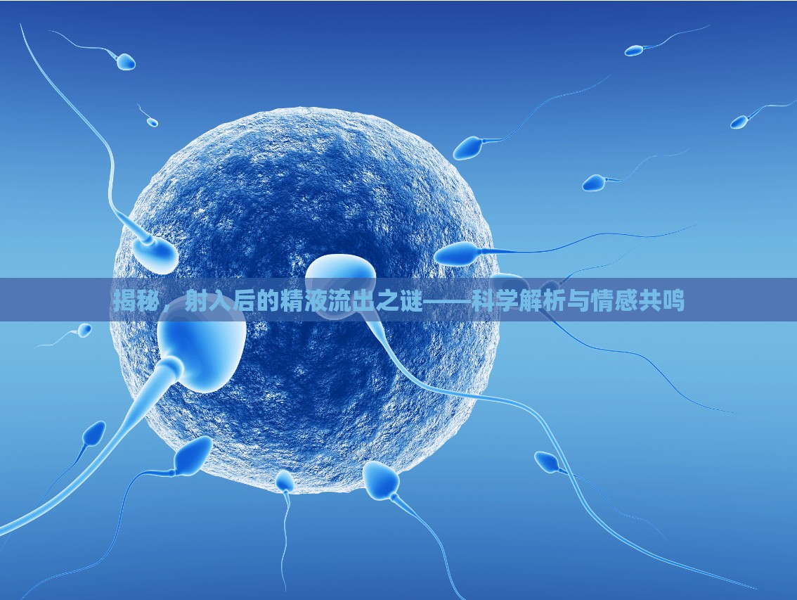 揭秘，射入后的精液流出之謎——科學(xué)解析與情感共鳴
