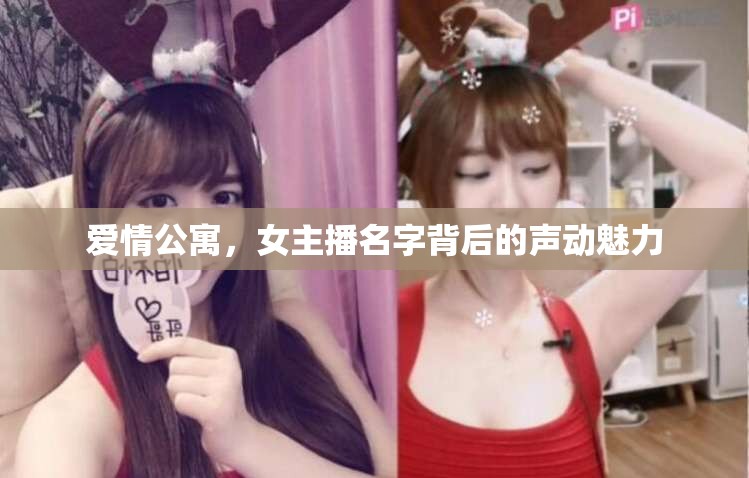 愛情公寓，女主播名字背后的聲動魅力