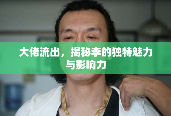 大佬流出，揭秘李的獨(dú)特魅力與影響力