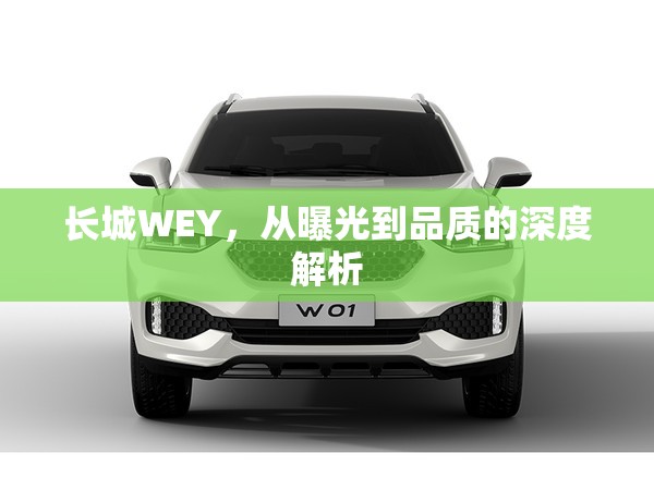 長(zhǎng)城WEY，從曝光到品質(zhì)的深度解析