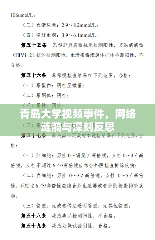 青島大學(xué)視頻事件，網(wǎng)絡(luò)漣漪與深刻反思