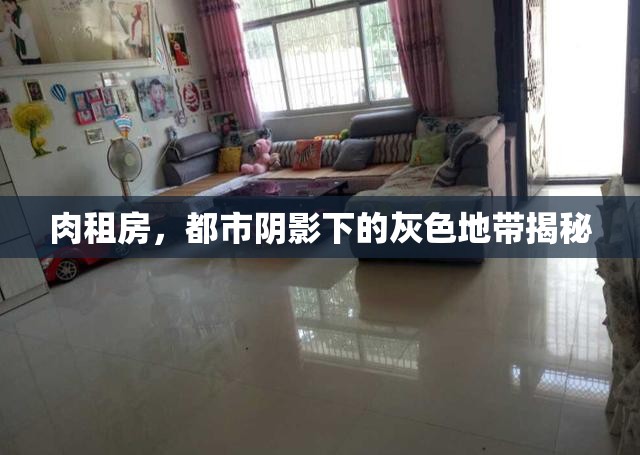肉租房，都市陰影下的灰色地帶揭秘