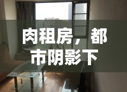 肉租房，都市陰影下的灰色地帶揭秘