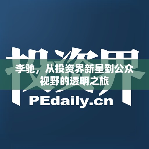 李馳，從投資界新星到公眾視野的透明之旅