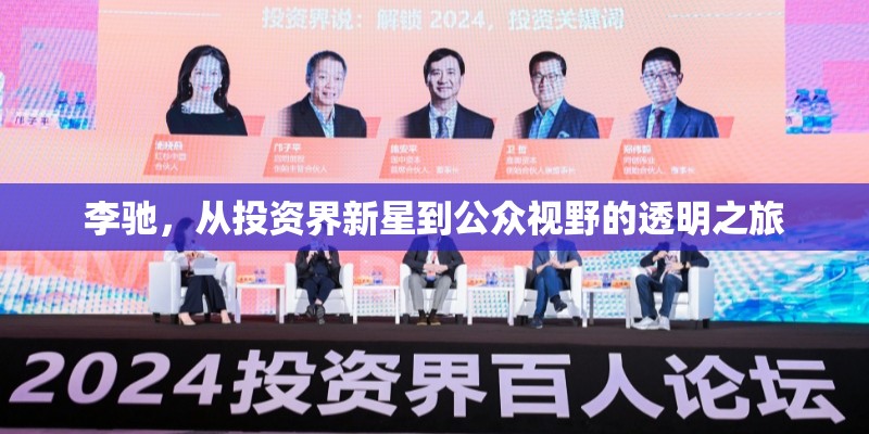 李馳，從投資界新星到公眾視野的透明之旅