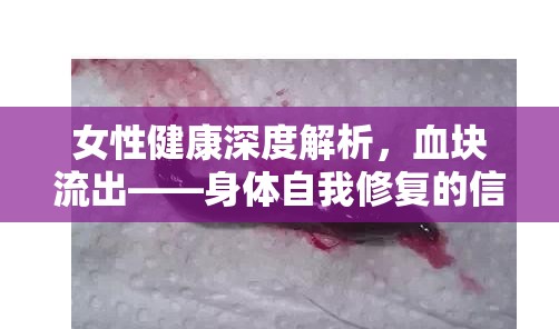 女性健康深度解析，血塊流出——身體自我修復(fù)的信號(hào)