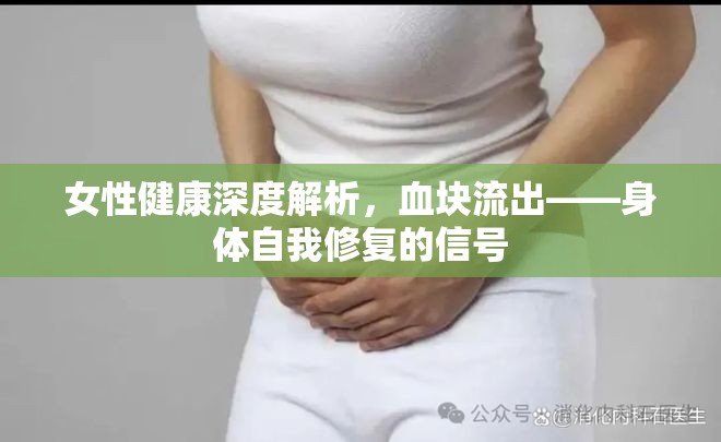 女性健康深度解析，血塊流出——身體自我修復(fù)的信號(hào)