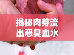 揭秘肉芽流出惡臭血水的真相與應(yīng)對策略
