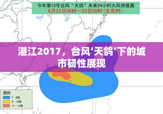 湛江2017，臺(tái)風(fēng)‘天鴿’下的城市韌性展現(xiàn)
