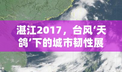 湛江2017，臺(tái)風(fēng)‘天鴿’下的城市韌性展現(xiàn)