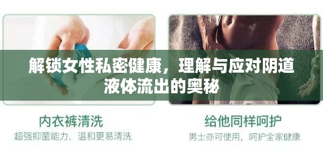 解鎖女性私密健康，理解與應(yīng)對陰道液體流出的奧秘
