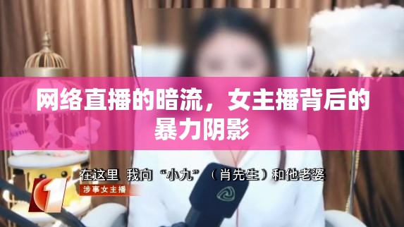 網(wǎng)絡(luò)直播的暗流，女主播背后的暴力陰影