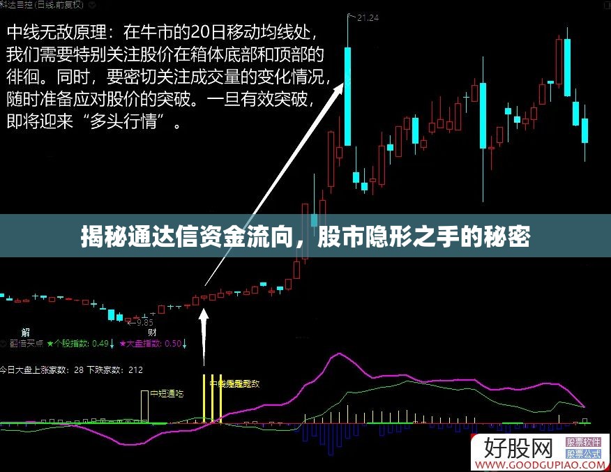 揭秘通達(dá)信資金流向，股市隱形之手的秘密
