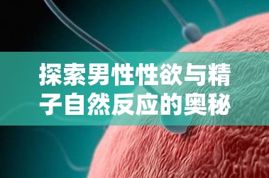 探索男性性欲與精子自然反應(yīng)的奧秘