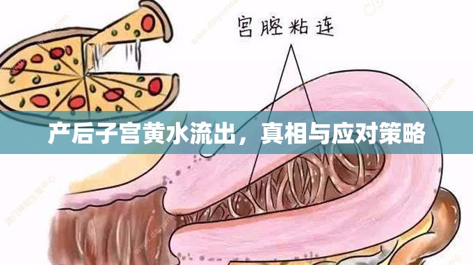 產后子宮黃水流出，真相與應對策略