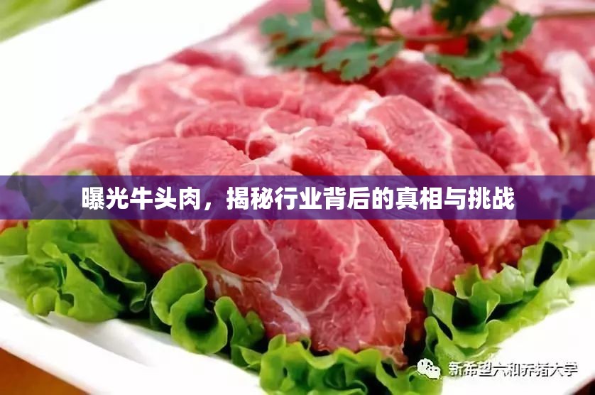 曝光牛頭肉，揭秘行業(yè)背后的真相與挑戰(zhàn)