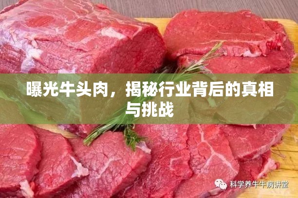 曝光牛頭肉，揭秘行業(yè)背后的真相與挑戰(zhàn)