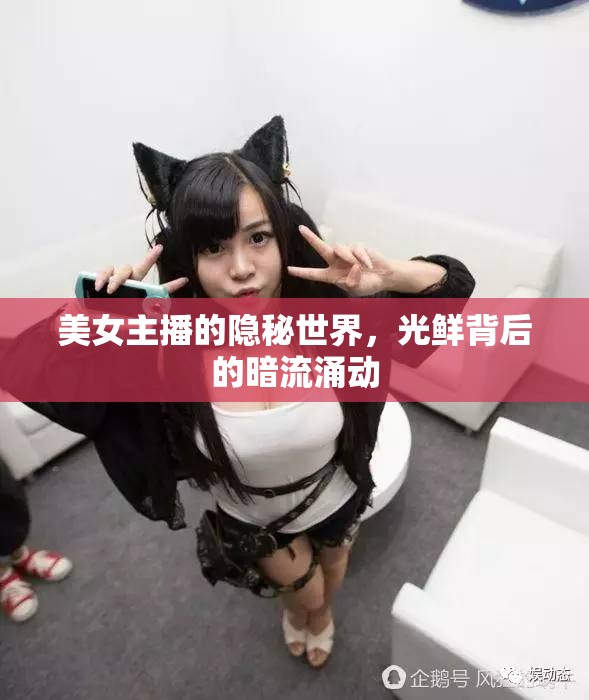 美女主播的隱秘世界，光鮮背后的暗流涌動(dòng)