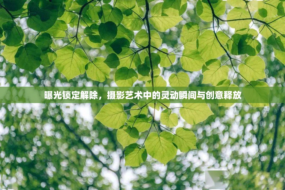 曝光鎖定解除，攝影藝術(shù)中的靈動瞬間與創(chuàng)意釋放