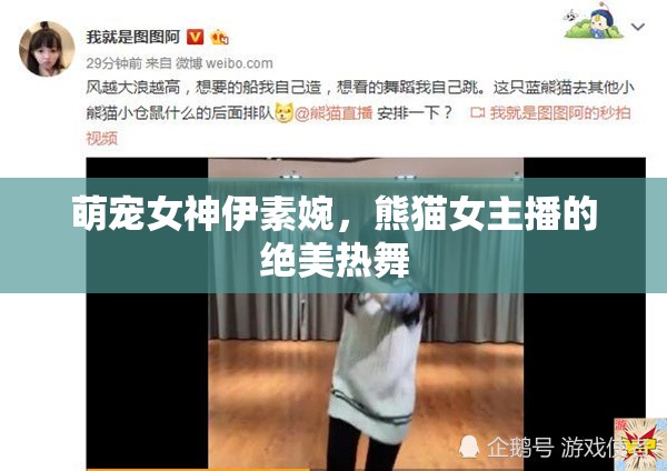 萌寵女神伊素婉，熊貓女主播的絕美熱舞
