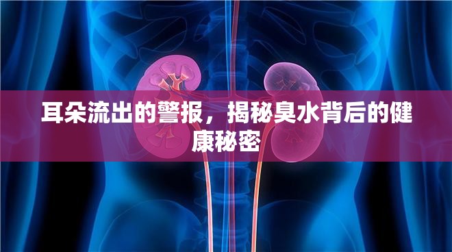 耳朵流出的警報(bào)，揭秘臭水背后的健康秘密