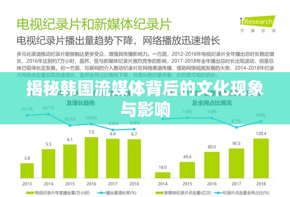 揭秘韓國流媒體背后的文化現(xiàn)象與影響