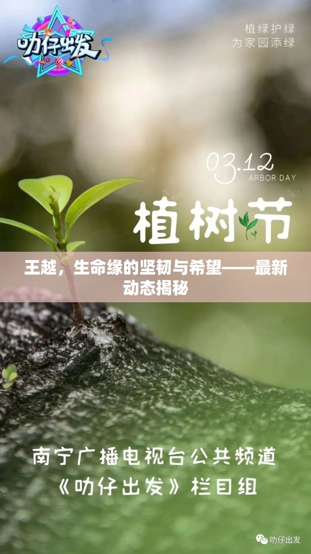 王越，生命緣的堅(jiān)韌與希望——最新動(dòng)態(tài)揭秘