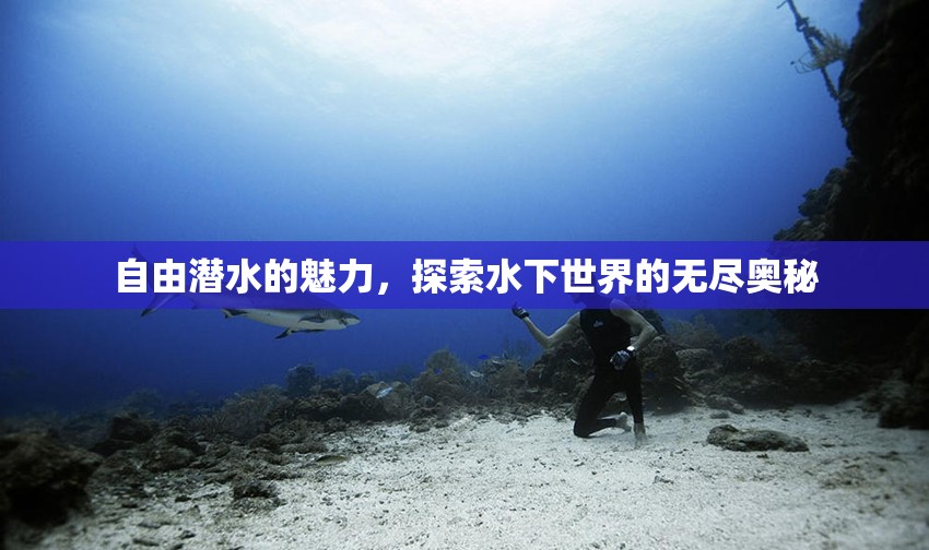 自由潛水的魅力，探索水下世界的無盡奧秘