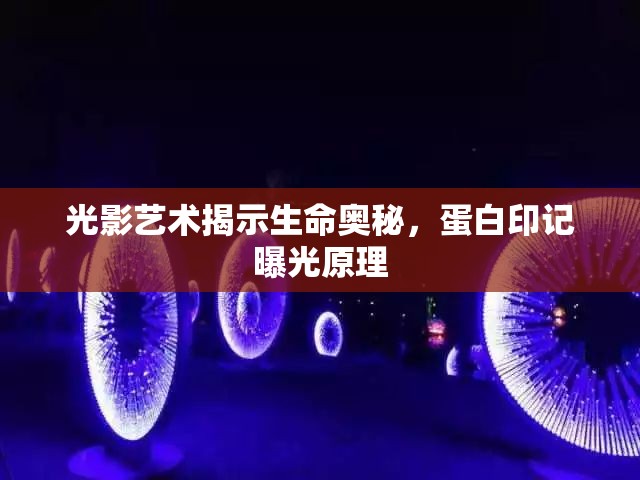 光影藝術(shù)揭示生命奧秘，蛋白印記曝光原理
