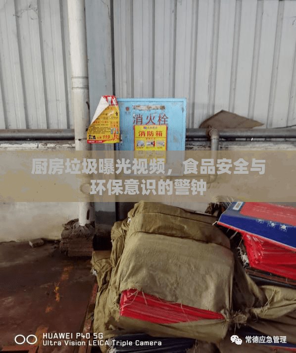 廚房垃圾曝光視頻，食品安全與環(huán)保意識的警鐘