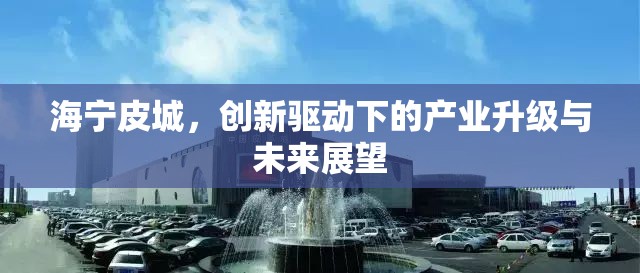 海寧皮城，創(chuàng)新驅(qū)動(dòng)下的產(chǎn)業(yè)升級(jí)與未來展望