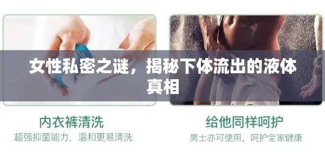 女性私密之謎，揭秘下體流出的液體真相