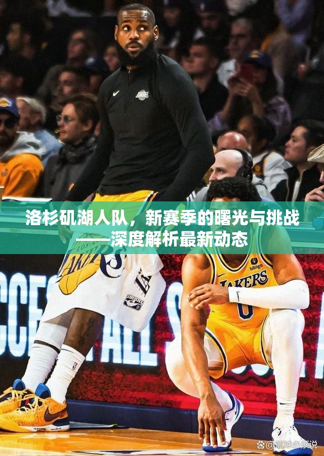 洛杉磯湖人隊(duì)，新賽季的曙光與挑戰(zhàn)——深度解析最新動態(tài)