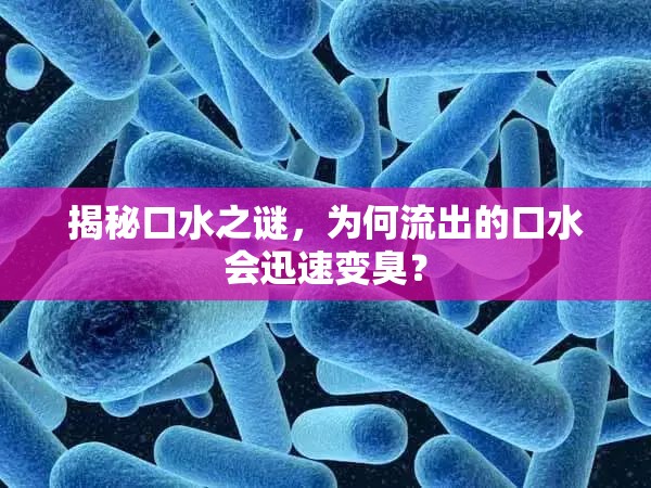 揭秘口水之謎，為何流出的口水會(huì)迅速變臭？