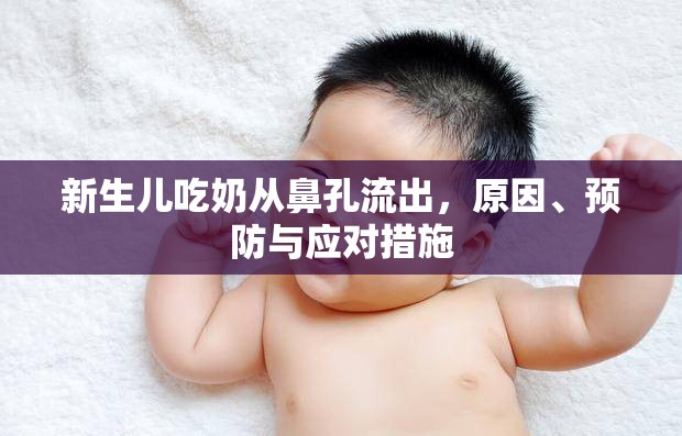 新生兒吃奶從鼻孔流出，原因、預(yù)防與應(yīng)對措施