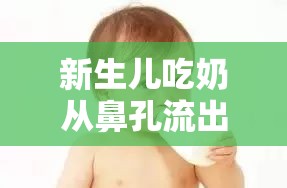 新生兒吃奶從鼻孔流出，原因、預(yù)防與應(yīng)對措施