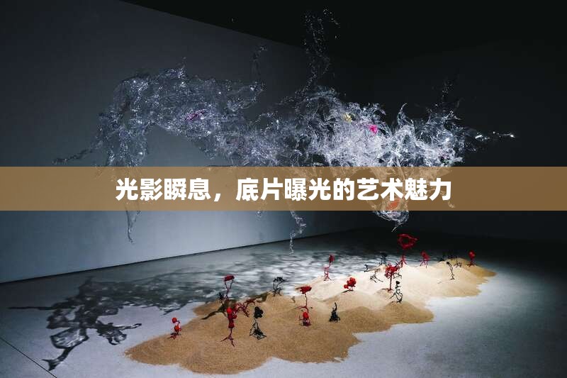 光影瞬息，底片曝光的藝術(shù)魅力