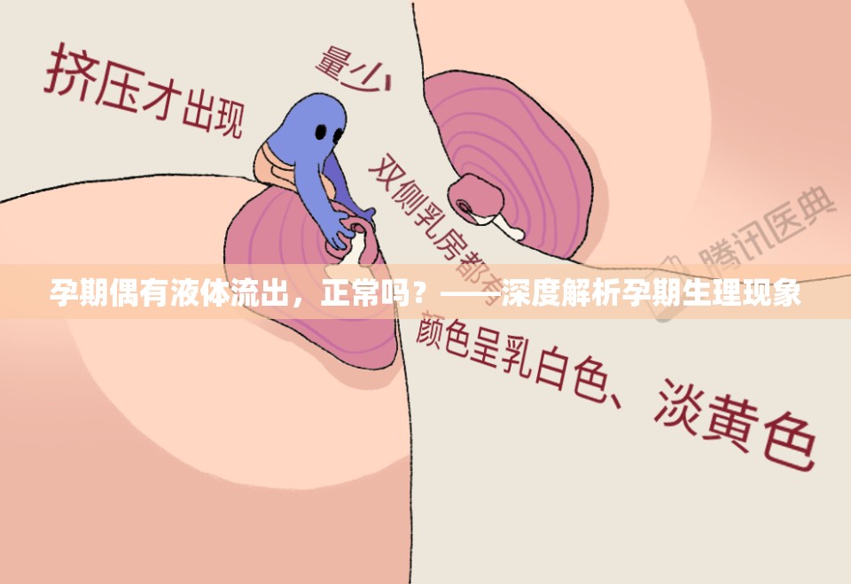 孕期偶有液體流出，正常嗎？——深度解析孕期生理現(xiàn)象
