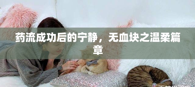 藥流成功后的寧靜，無血塊之溫柔篇章
