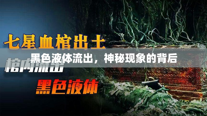 黑色液體流出，神秘現(xiàn)象的背后
