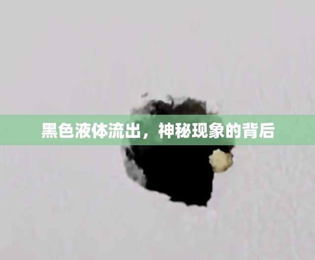 黑色液體流出，神秘現(xiàn)象的背后