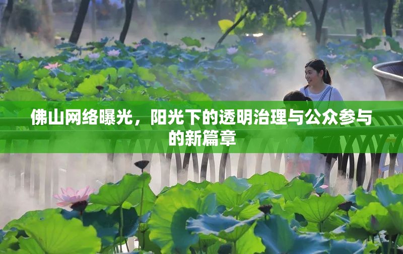佛山網(wǎng)絡(luò)曝光，陽光下的透明治理與公眾參與的新篇章