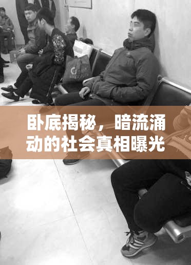 臥底揭秘，暗流涌動的社會真相曝光