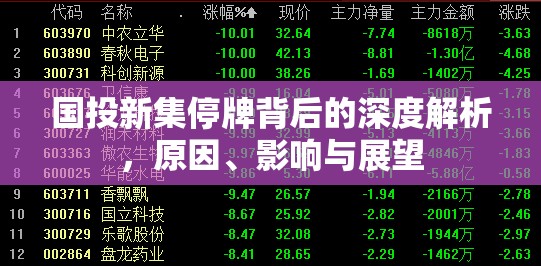 國投新集停牌背后的深度解析，原因、影響與展望